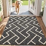 hicorfe Indoor Doormat,Front Back Door Rubber Backing Non Slip,32"x48" Absorbent Resist Dirt Entrance Doormat Inside Floor Mats for Entryway Washable Low-Profile(Black)