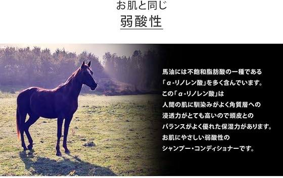 熊野油脂 馬油シャンプーの商品画像