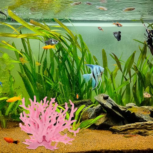 Image of Colorful Coral Reef Decor, Mini Faux Coral Decor for Aquarium Decorations,6.3x5.31inch (Pink)