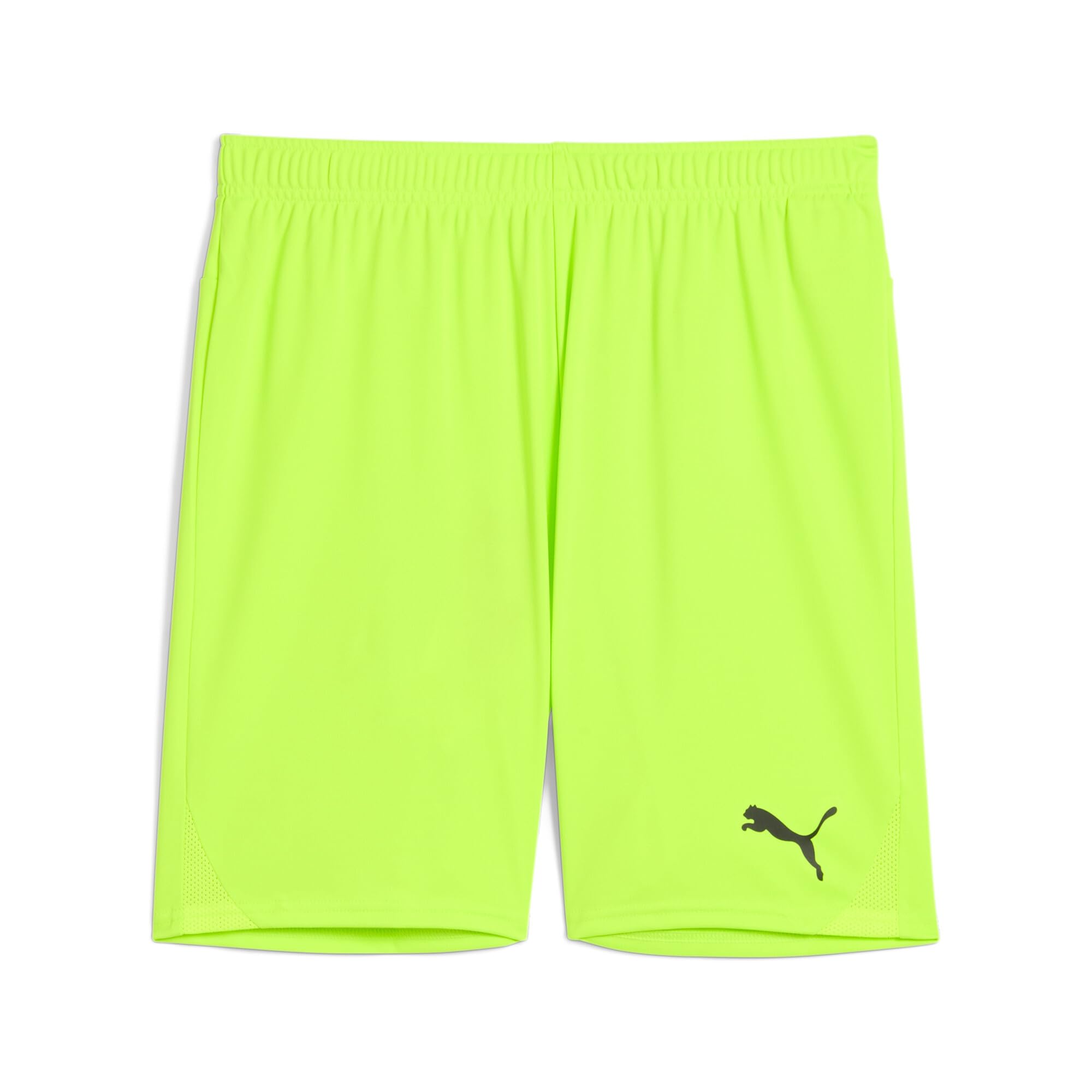 Puma Teamgoal 24 Shorts Green