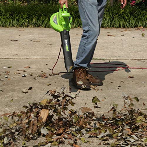 Greenworks 2 Speed 230 MPH Electric Leaf Blower/Vacuum 24022