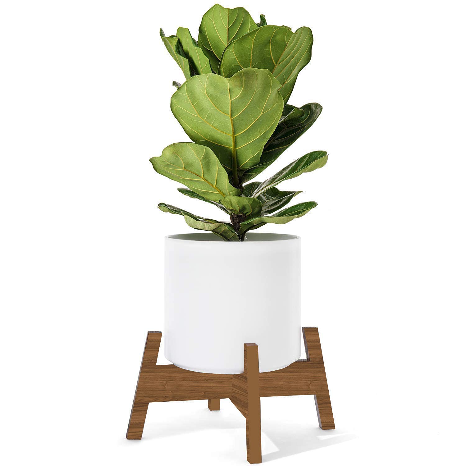 Vyani - Kono Wooden Plant/Planter/Pot Stand - Wooden Texture Laminate, 1 Piece (B092ZRN63H) Amazon Price History, Amazon Price Tracker
