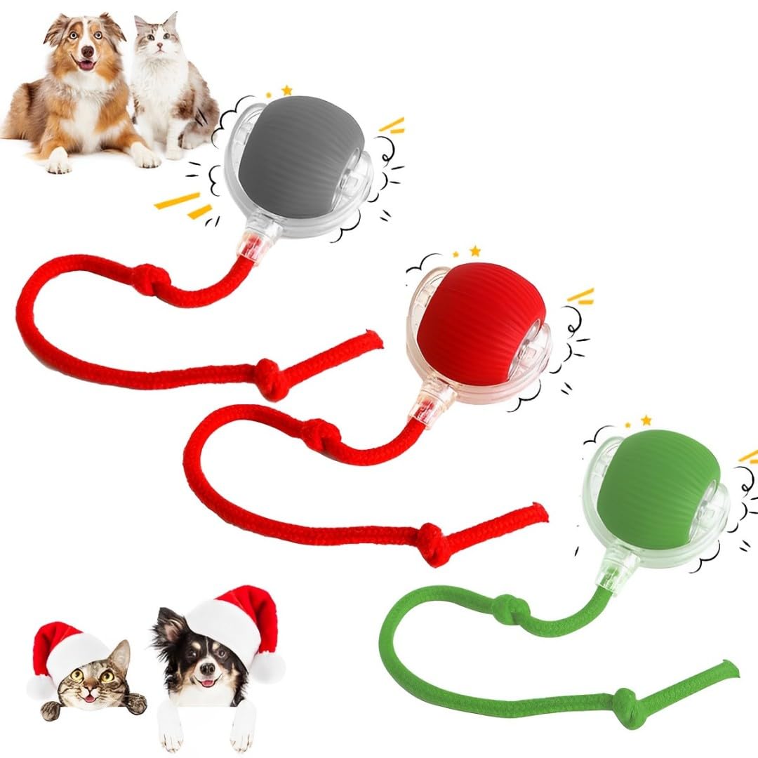 Asslye Interactive Cat Toy - Chewie Viral Rolling Ball, 360° Smart Automatic Pet Ball, Chase Mate, Electric Dog Toy, Rechargeable Irregular Moving for Cats & Dogs
