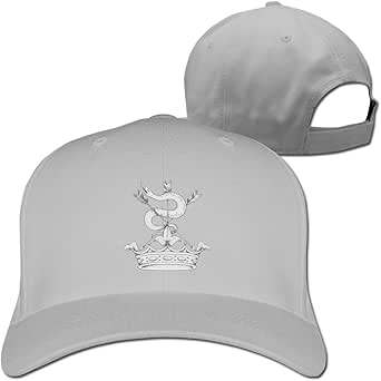 Cappello Baseball Howard University Bison - Tesa Ricamata - Grigio - Taglia Unica Regolabile - Desert Cactus - 3
