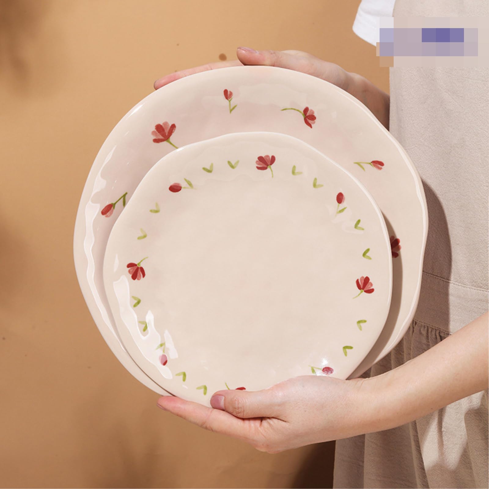 Piatti in ceramica giapponesi dipinti a mano e stoviglie per la casa set -10 pollici piatto (16)