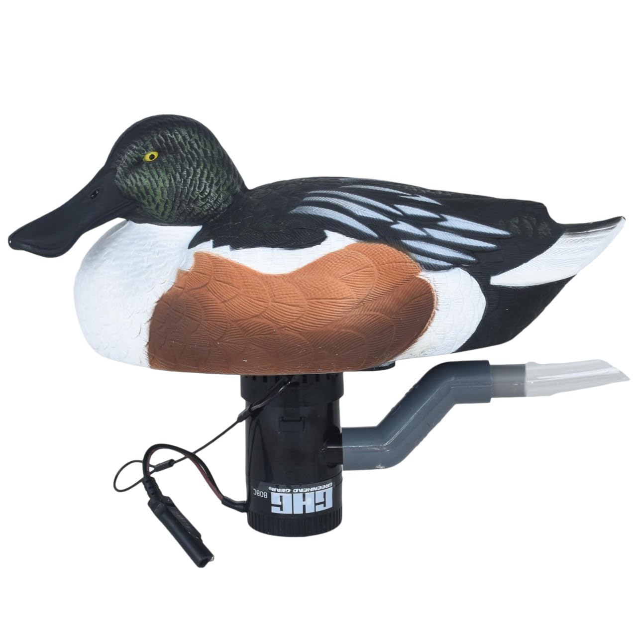 Avery Finisher Swimmer Shoveler Drake