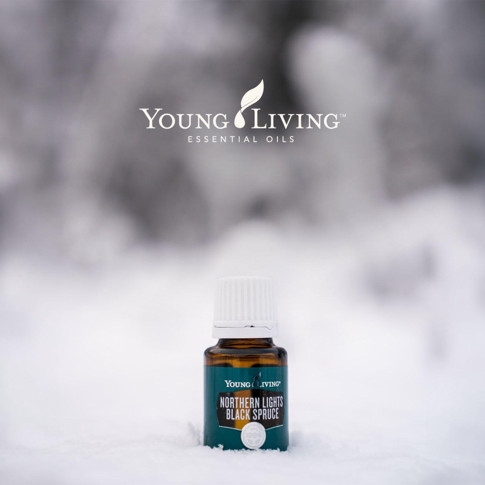Amazon.com: Young Living Northern Lights Black Spruce Essential