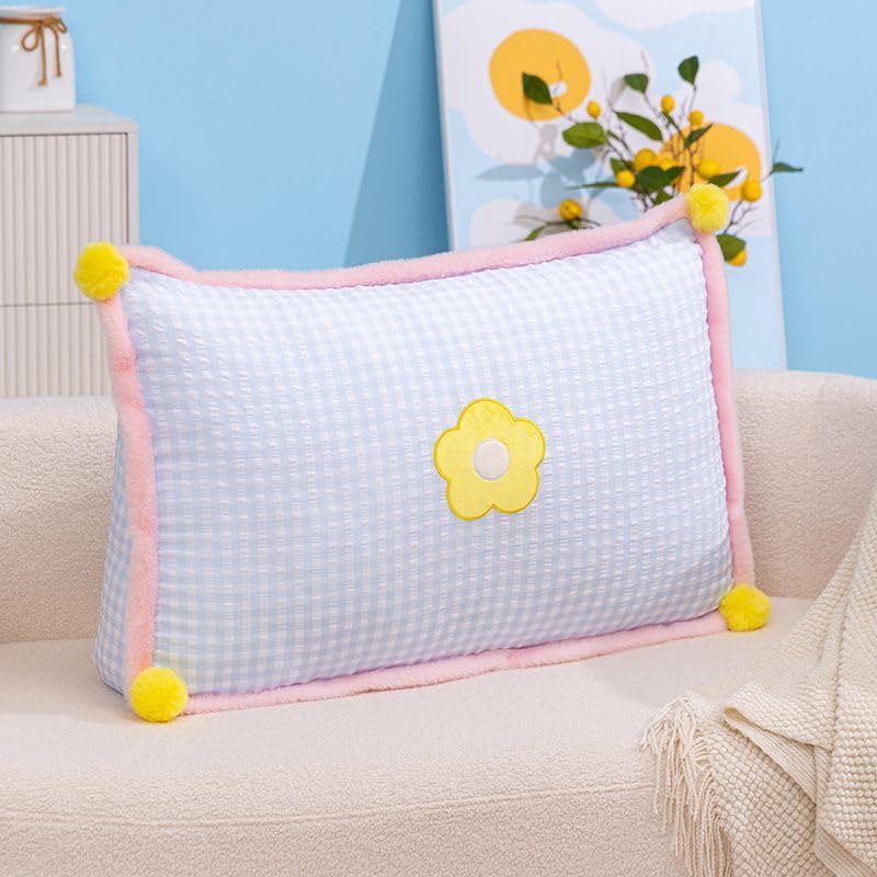 Coussin de soutien lombaire XJBTBA oreiller de lecture contre le mal de dos