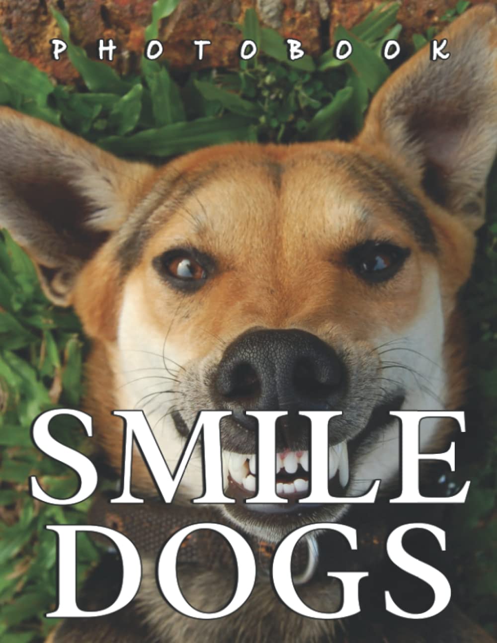 The Picture Book Of Smile Dogs: A Great Gift With Compelling And Impressive Pictures Of Smile Dogs To Relax And Relieve Stress For Teens Boys Girls On Christmas, Birthday