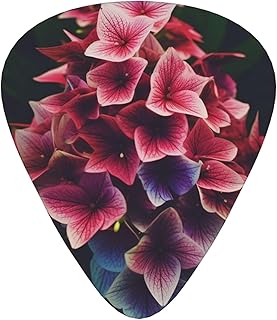 Triangle Flower Guitar Picks 12 Pack Bass Picks with Organizer Box Guitar Plectrum Includes Thin Medium Heavy Guitar Picks Ukulele Picks for Bass Acoustic Electric Guitars