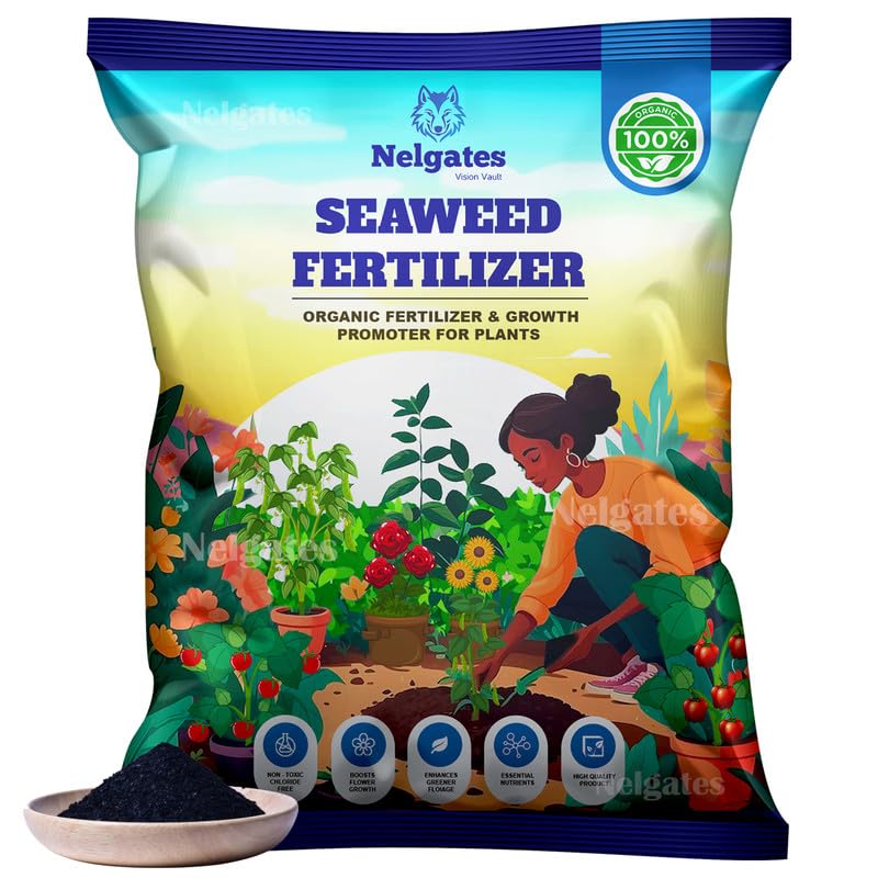 Nelgates organic Seaweed plant fertilizer for home gardening, fruit vegetable and flowering plants fertilizer, seaweed granules (20) (B0D9BDZPQL) Amazon Price History, Amazon Price Tracker