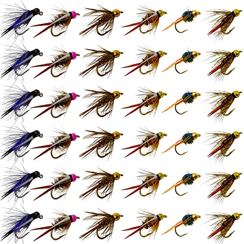 Thor Outdoor Bh Nymph 36 Pc Set – Prince, Princess, And Purple Reign Nymph, Bloody Mary, Copper John - Wet Fly Fishing Flies For Trout And Panfish #TOP1