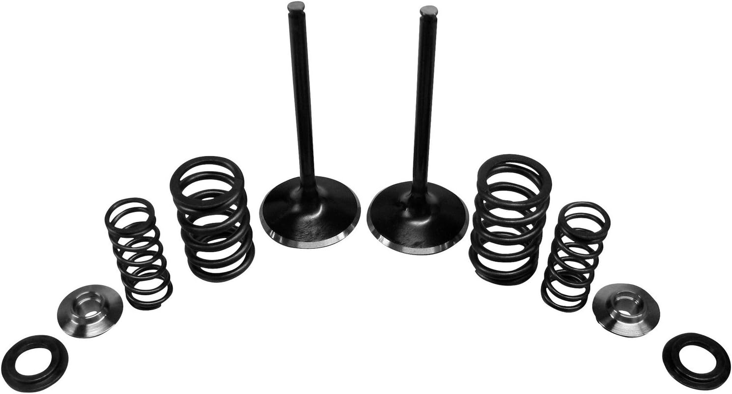 KibblewhitePrecision Intake Only Valve Spring Kit 30-31200