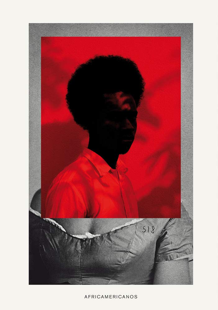 Livre Africamericanos anglais : Comprendre l'afro-descendance