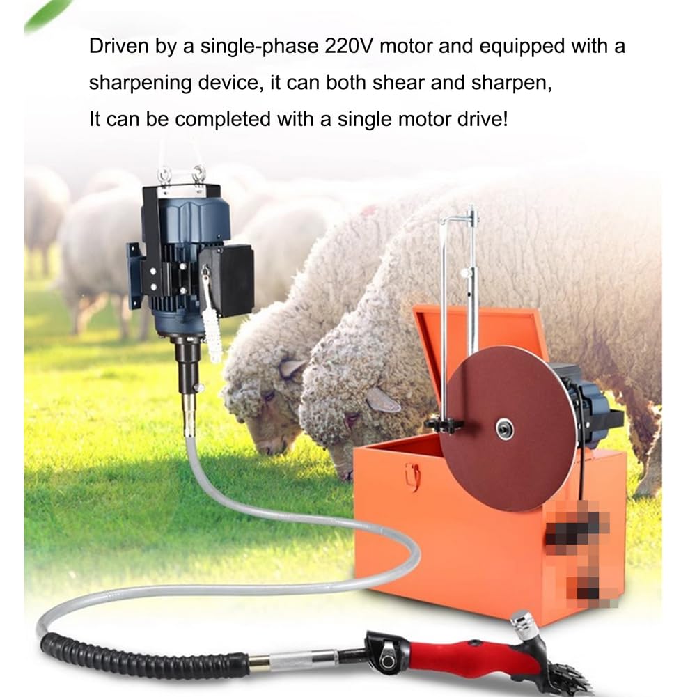 Cesoie per Pecore elettriche Professionali potenziate a Basso Rumore Portatili Tosatrici multifunzionali per toelettatura di Animali 220 V / 550 W per Pecore, capre, cammelli