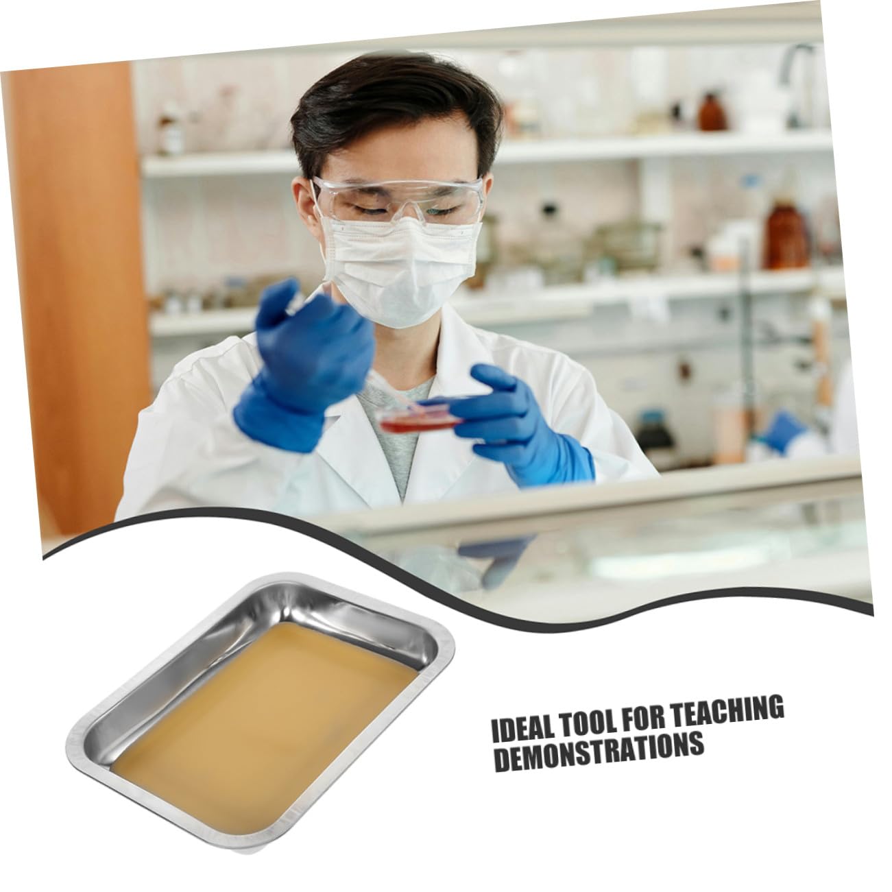 FRCOLOR 2pezzi Vassoio Per Dissezione in Acciaio Inox Pz Piastra Rivestita in Cera Vassoio Da Laboratorio in Dimensioni Per Esperimenti Di Biologia e Insegnamento