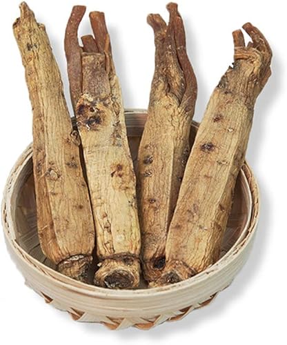 Miniatura 2 de Ginseng coreano rojo de 15 años de raíz seca de ginseng rojo coreano, raíz de ginseng coreano, sin azúcar, barra de ginseng coreano (0.55 libras)
