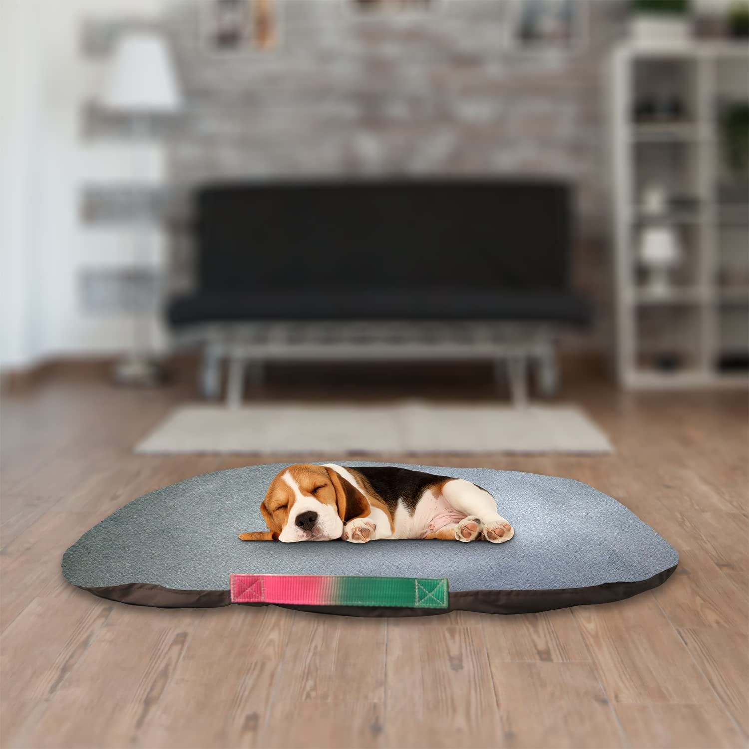 SITSNOOZE Dog Beds Rectangle Shape Dog Bed Extra Soft Pet Bed for Dogs | Washable Designer Orthopaedic Bed with Anti-Slip and Water Resistant Bottom (Grey, Medium) (B0BGC4RZY5) Amazon Price History, Amazon Price Tracker
