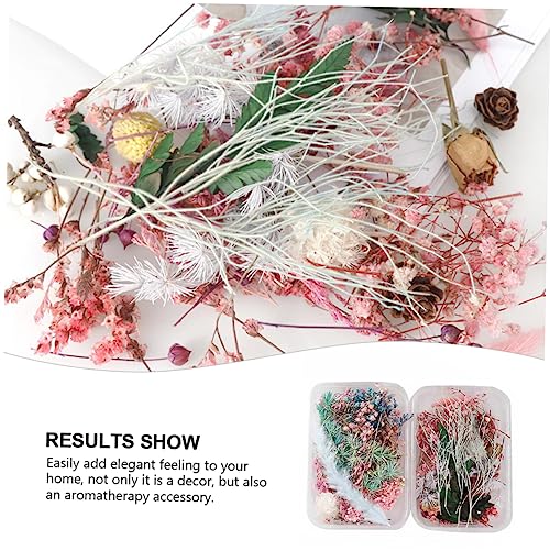 Luxshiny 6 Caixas Flores secas de aromaterapia decoração escritório decoracao escritorio flores seca