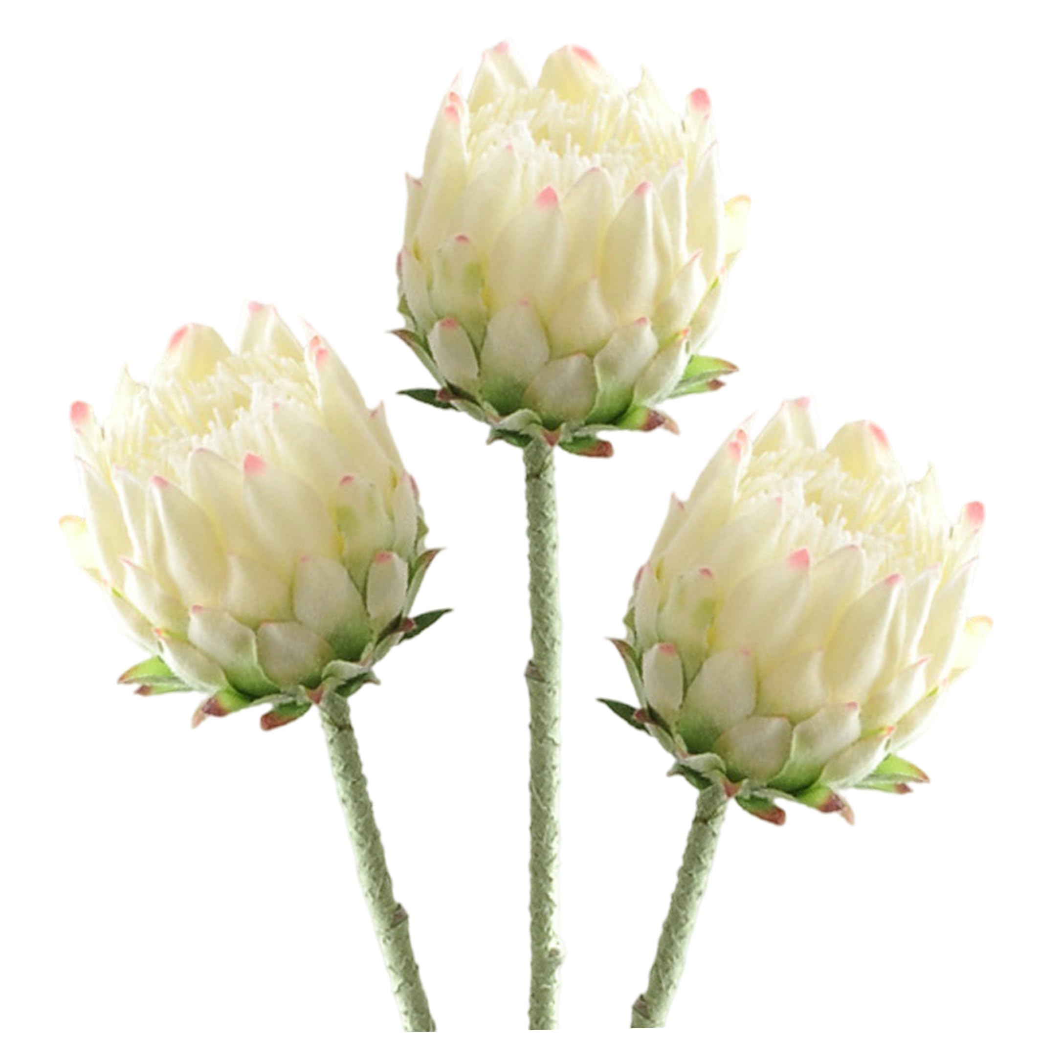 Tsawntd Artificial Plants, Artificial Protea Flowers, 3pcs Tropical Flowers - Real Touch Faux Flower For Vase & Arrangement, 25.2 Inch White