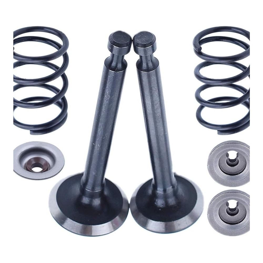 Kit de Joint d'huile de Tige de retenue de Ressort de soupape d'échappement et de Courroie de Distribution de poulie d'arbre à cames adapté for Hna GX25 HHT25S 4 Temps(2 Sets)