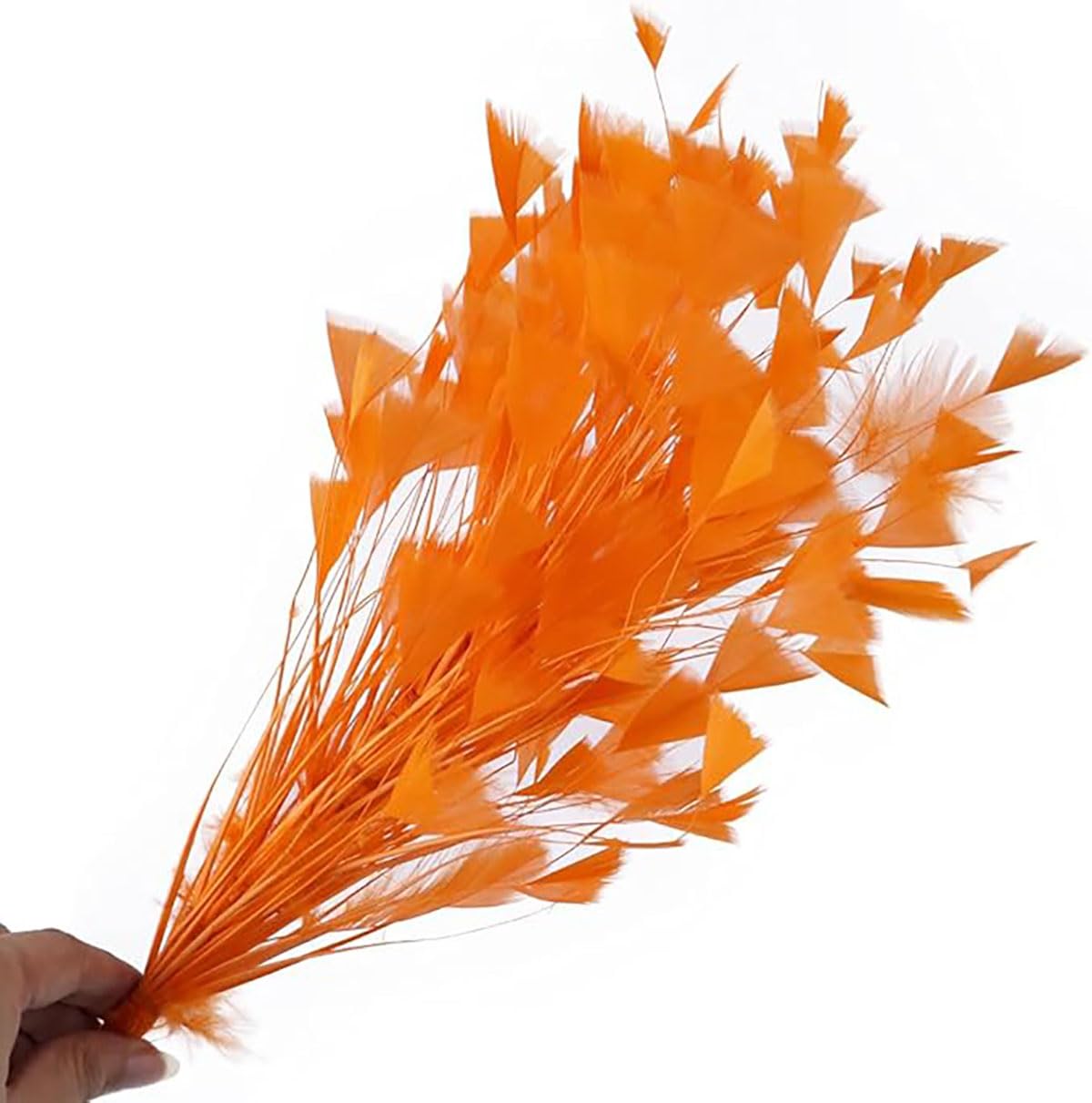 Bouquets de plumes triangulaires teintes naturellement pour création