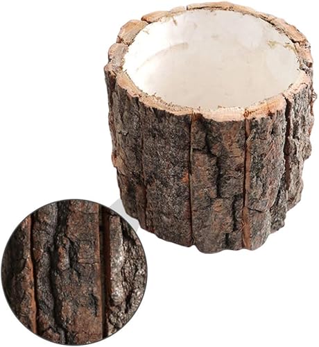 Miniatura 5 de Hemoton Macetas rústicas para suculentas, macetas de cactus, árbol de madera, tronco, tocón, maceta, hierbas, cactus, bonsái, decoración para el