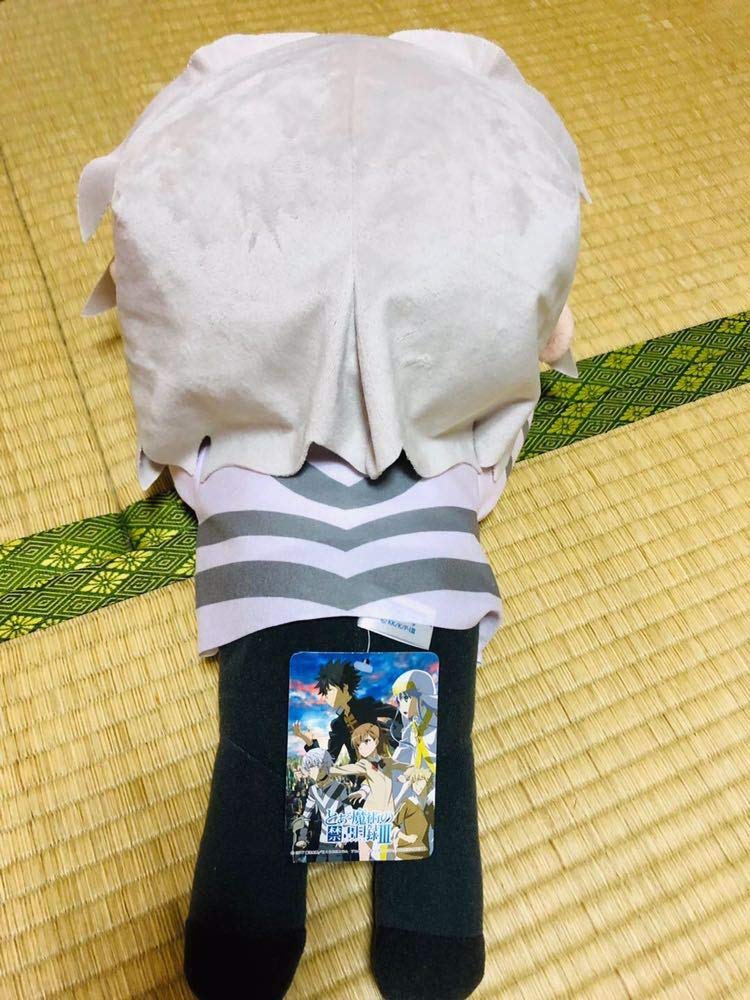 とある魔術の禁書目録　一方通行　ぬいぐるみ とある科学の一方通行 ぬいぐるみキーホルダー アクセラレータ