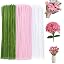 Pink Lily Color