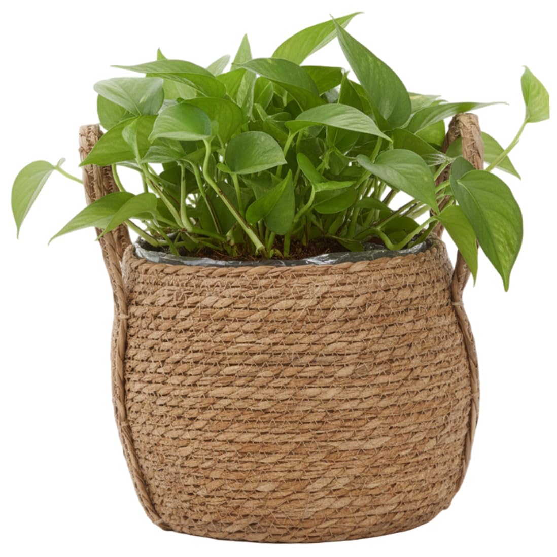 Latemeia Wicker Planter Basket, 9.5 Inch Handwoven Wicker Planter with Plastic Liner for Plants, Decorative Indoor Plant Basket with Handle for Home Decor, Storage & Wedding, Indoor Outdoor