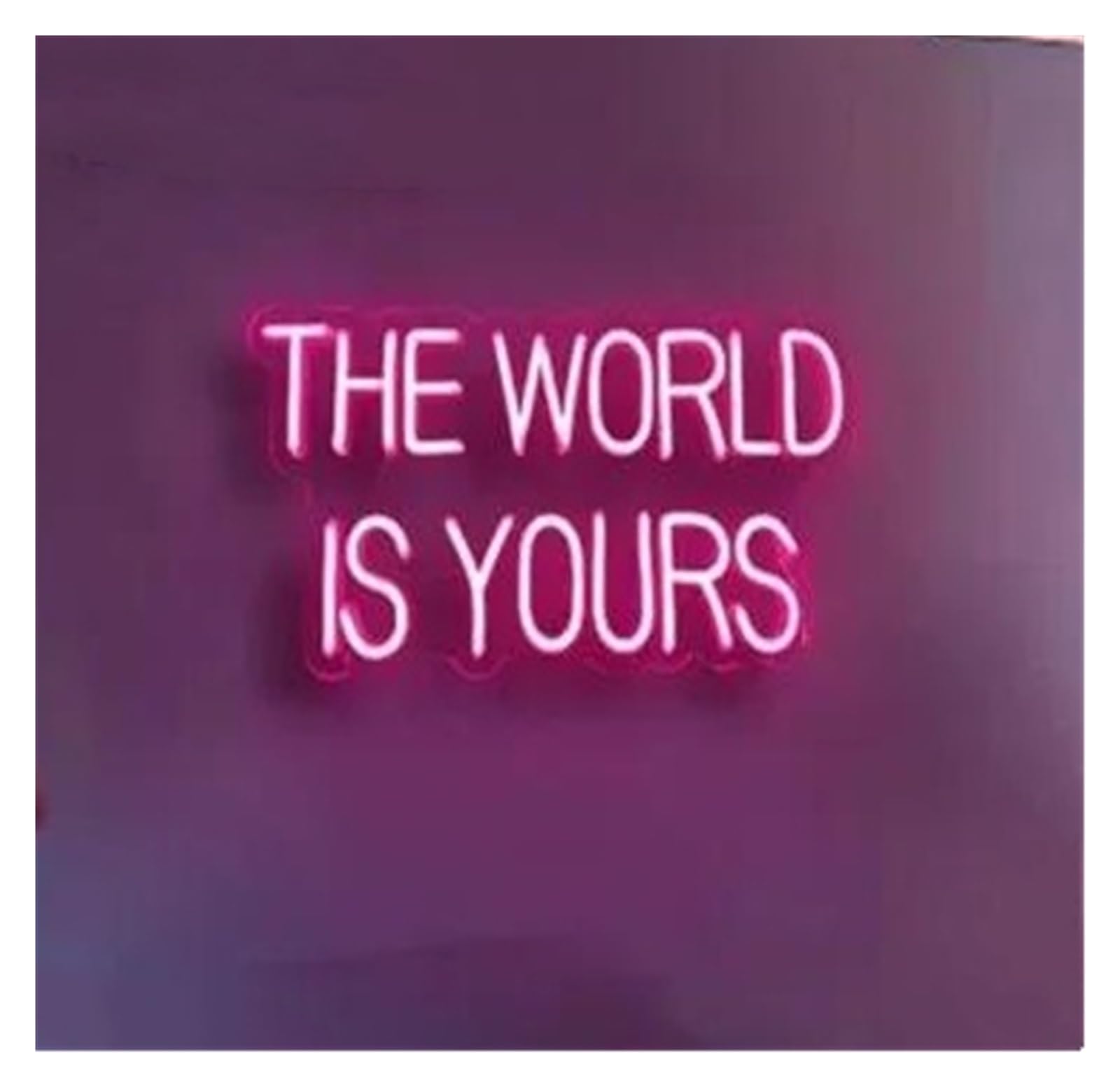 SHOUXI Sign Lamp The World is Yours Neon Sign Light Wedding Birthday Outdoor Indoor Room Wall Hanging Decor 40x20cm(Pink)