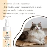 Ver la foto 3