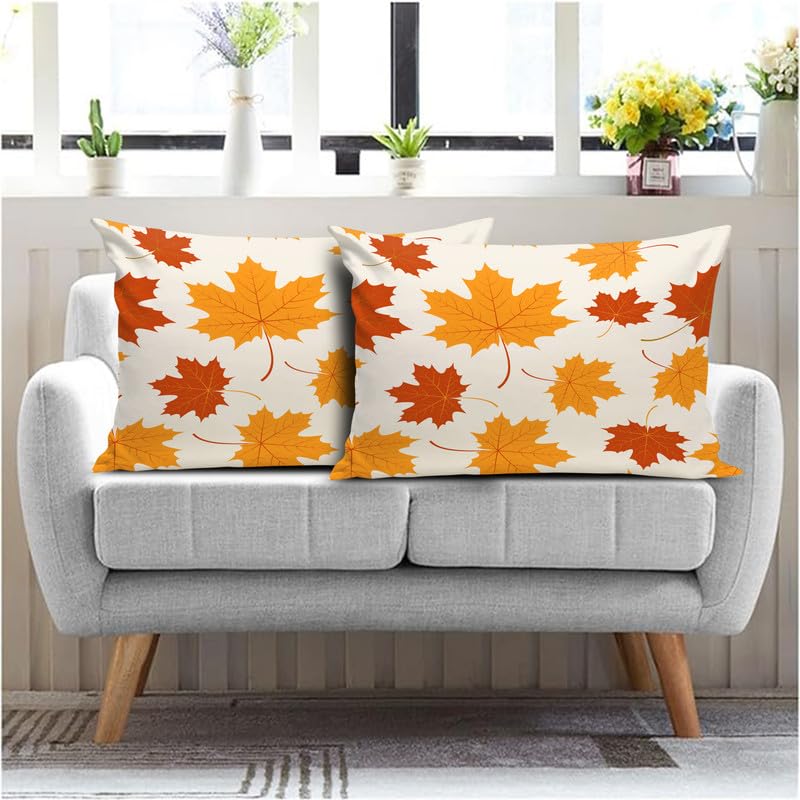 BMRGIFTS Soft Fabric Decorative Designer Printed Pillow Cover Cases Decorations for Sofa Living Bed Room 17x26 inch, Set of 2 Multi(PC27)