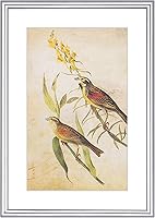 Vista 37 de Juego de 4 marcos de fotos de 4 x 4 pulgadas, color negro mate, diseño simple y moderno, de aluminio cepillado delgado, cuadrado, para fotos de 3 x