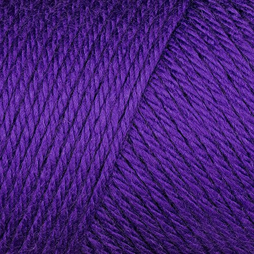 Image of Bulk Buy: Caron Simply Soft Yarn Solids (2-Pack) (Iris)