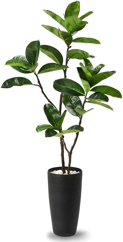 Amazon Co Jp ゴムリーフ ウッドチップ Tpプランター 造花 フェイクグリーン ホーム キッチン