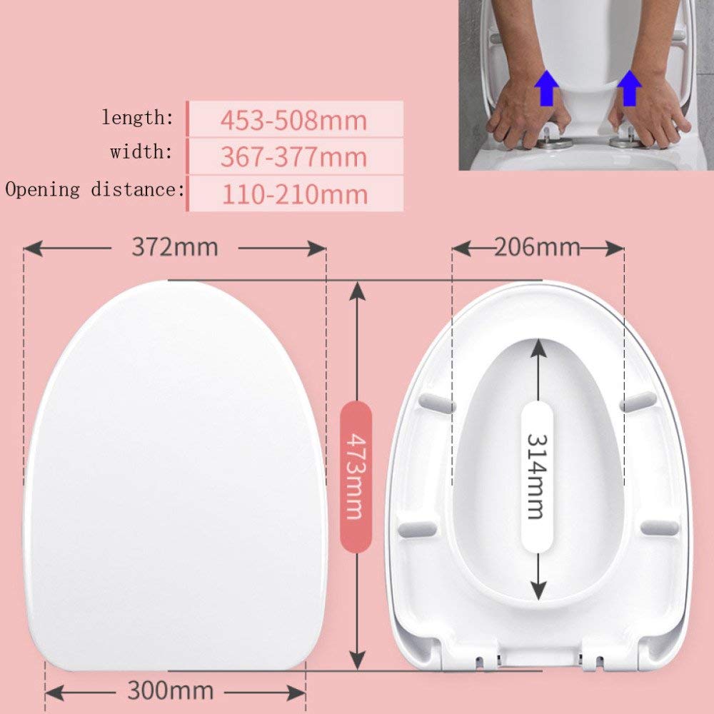 il coperchio del bagno, Coperchio WC