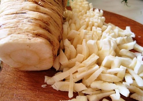 Miniatura 6 de Semillas Dutch Hamburg Perejil Raíz Azúcar Hierbas Herbáceas Vegetales para Plantar Sin OGM - 2000 Semillas