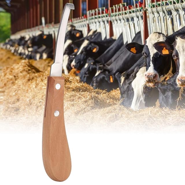 Foto 3 de 8 de Jadpes Cuchillo de pezuña de Ganado, Corte de pezuña en Forma de Hoja Recta