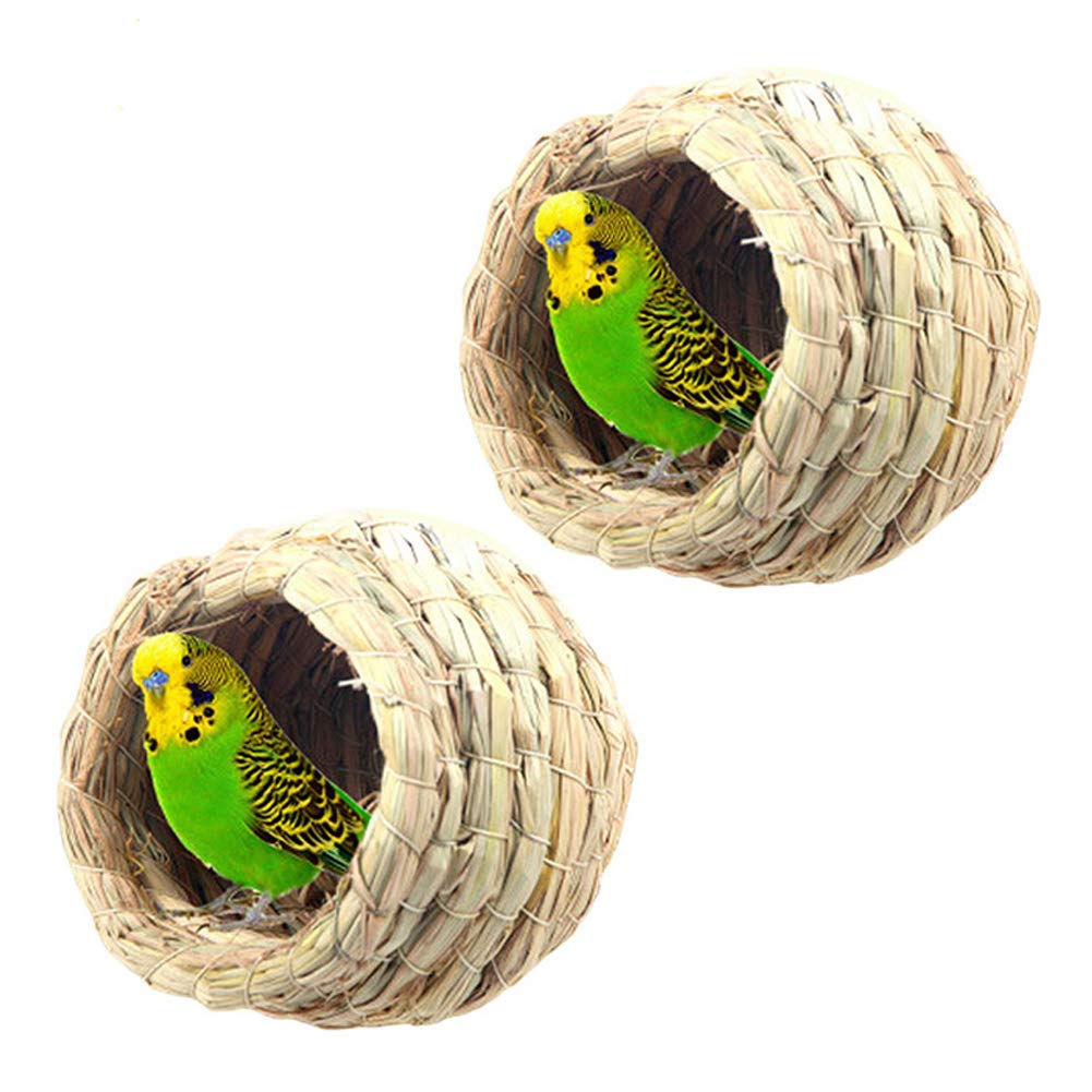 10 Best Dove Bird Bedding for Comfortable and Hygienic Sleep