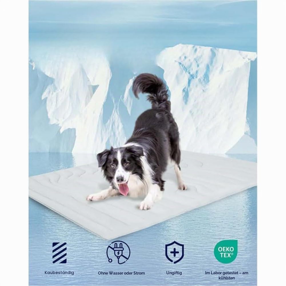 Pfoten Kühlmatte, Pfotenchill - Die Innovative Kühlmatte Für Hunde, Pfotenfrost Kühldecke Für Hunde, Aus Kühlgewebe Wendbar, Selbstkühlend Kühlbett Für Zu Hause, Reise (XL(150 x 101 cm))