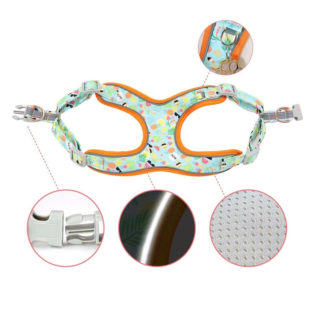 Correa para Mascotas, Juego de arneses para Perros y Gatos, Collar con Estampado Azul, Correa Personalizada para pasear Mascotas (S)
