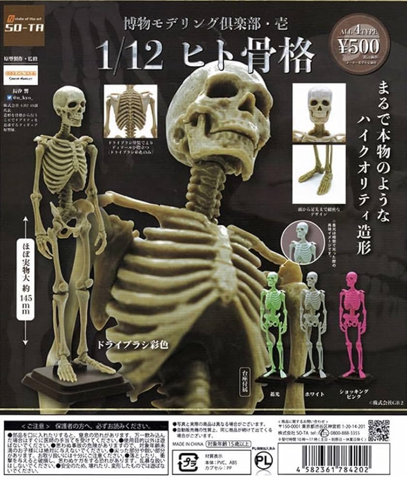 博物モデリング倶楽部 1弾、2弾、3弾コンプセット 博物モデリング倶楽部・参 1/35マチカネワニ骨格 - スタジオ