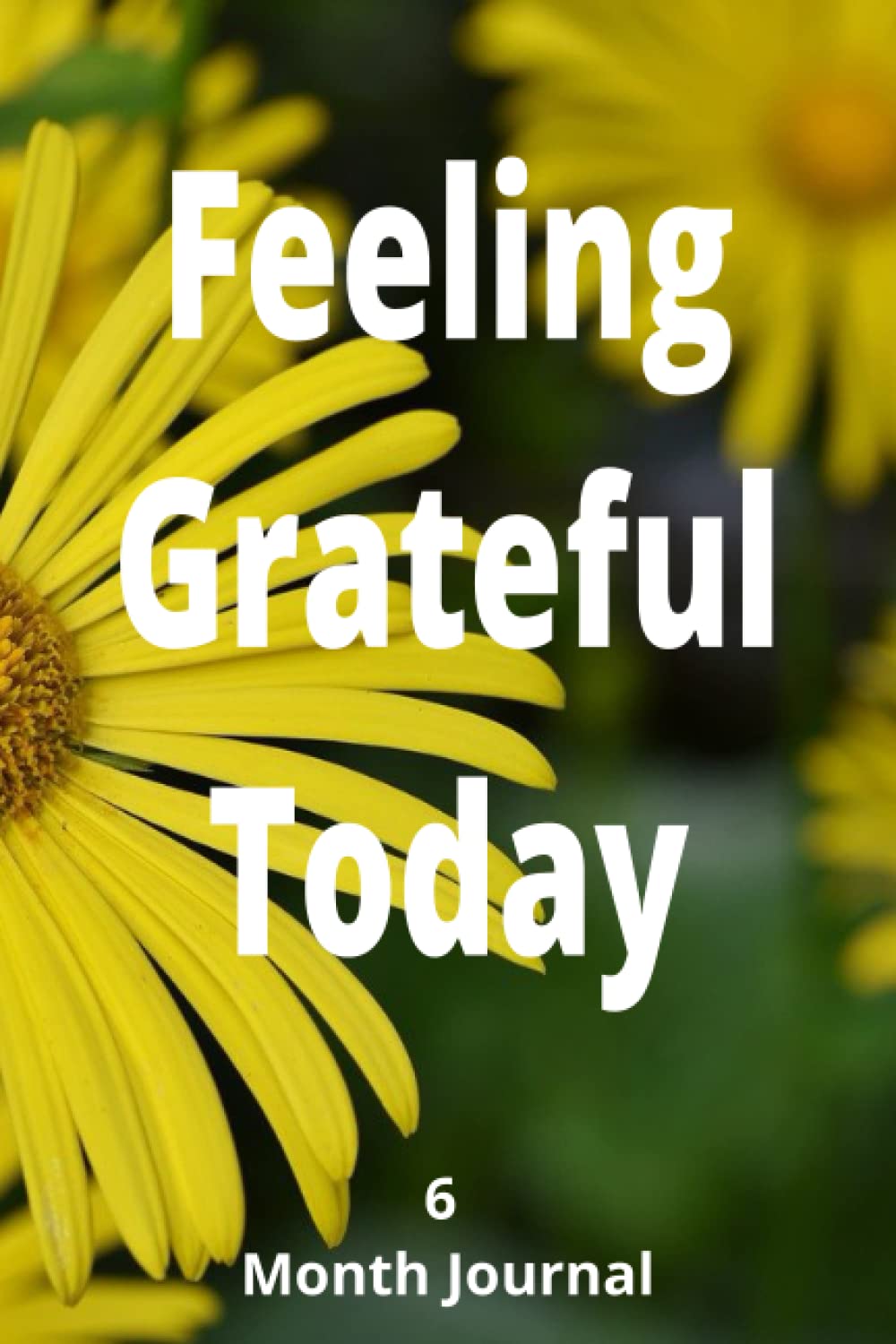Feeling Grateful Journal: 6 Months