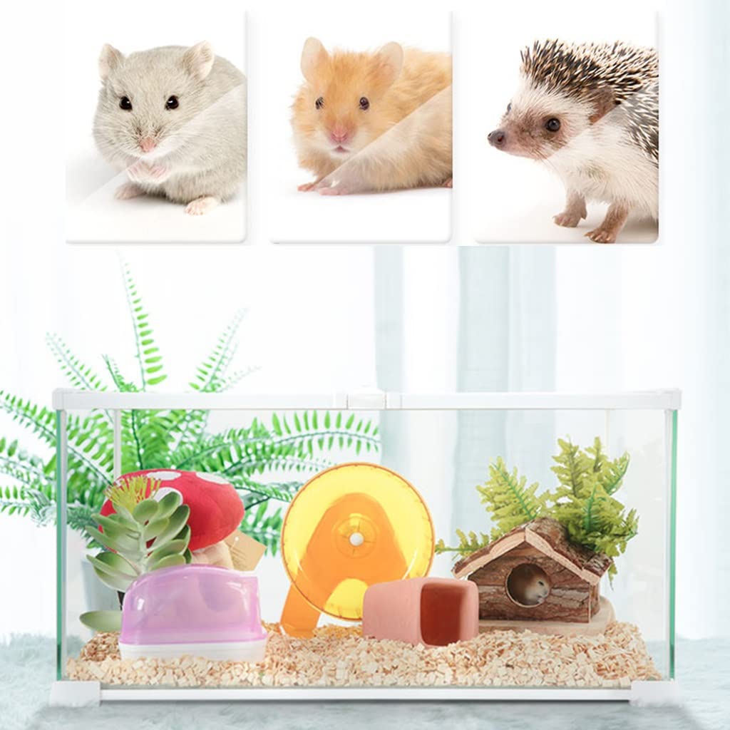 Tanque de Vidrio Templado para Reptiles, Apertura Superior, Terrario para Reptiles, Lagarto, Camaleón, Gecko, Incubadora de Mascotas con ventilación de Pantalla Superior (A 31x21x20cm)