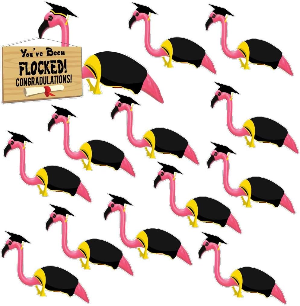 VictoryStore Yard Sign Outdoor Lawn Decorations: Graduation Decorations, "You've Been Flocked" Graduation Flamingos Lawn Signs, Set of 13 with Stakes,19247