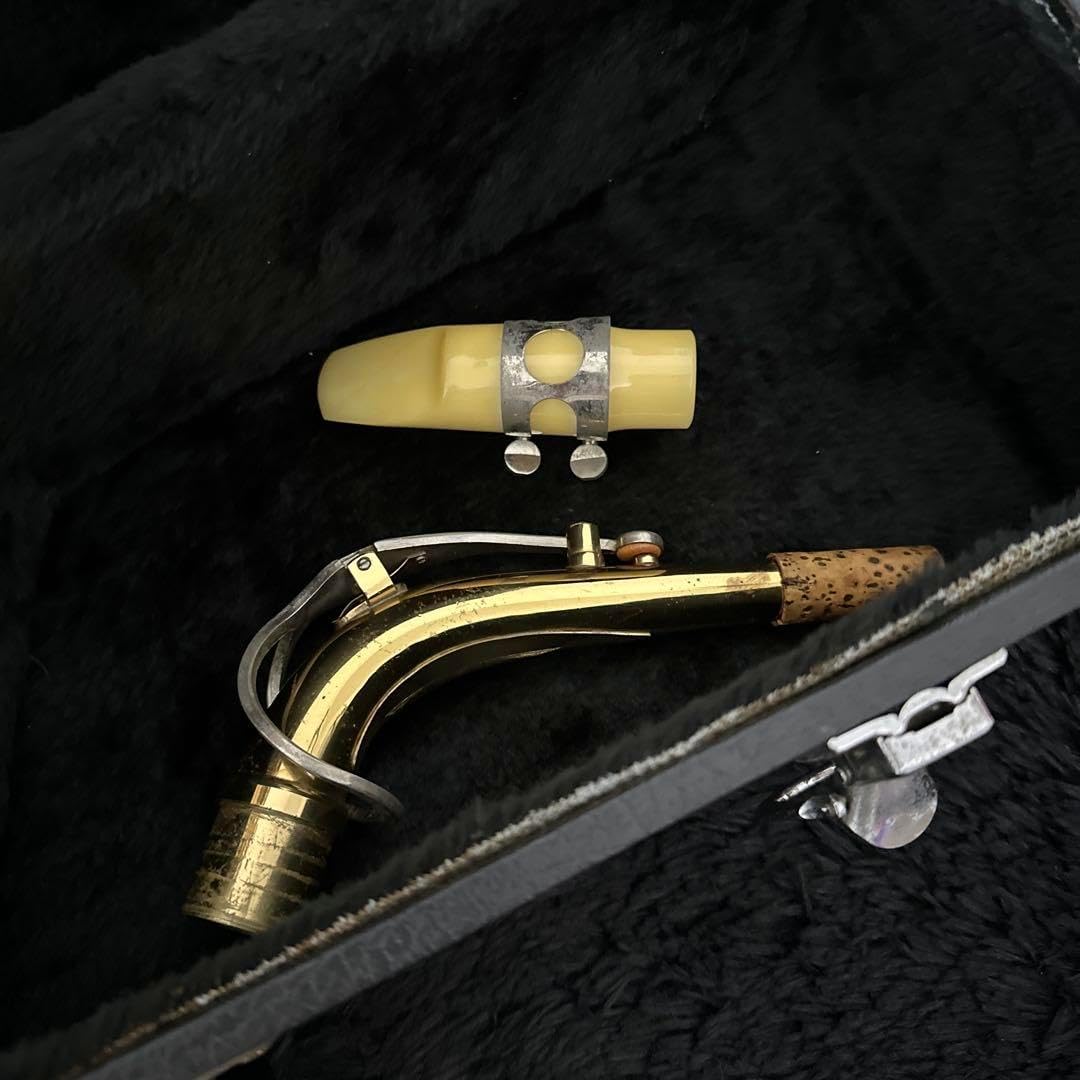 MAXTONE アルトサックス 管楽器 ケース付属 初心者用 サックス用ケース