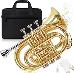 Trompete, Trompete Padrão Bb em latão Banhado a Ouro com Estojo Rígido, Bocal, Pano de Limpeza para Estudantes e Adultos Iniciantes (Ouro)