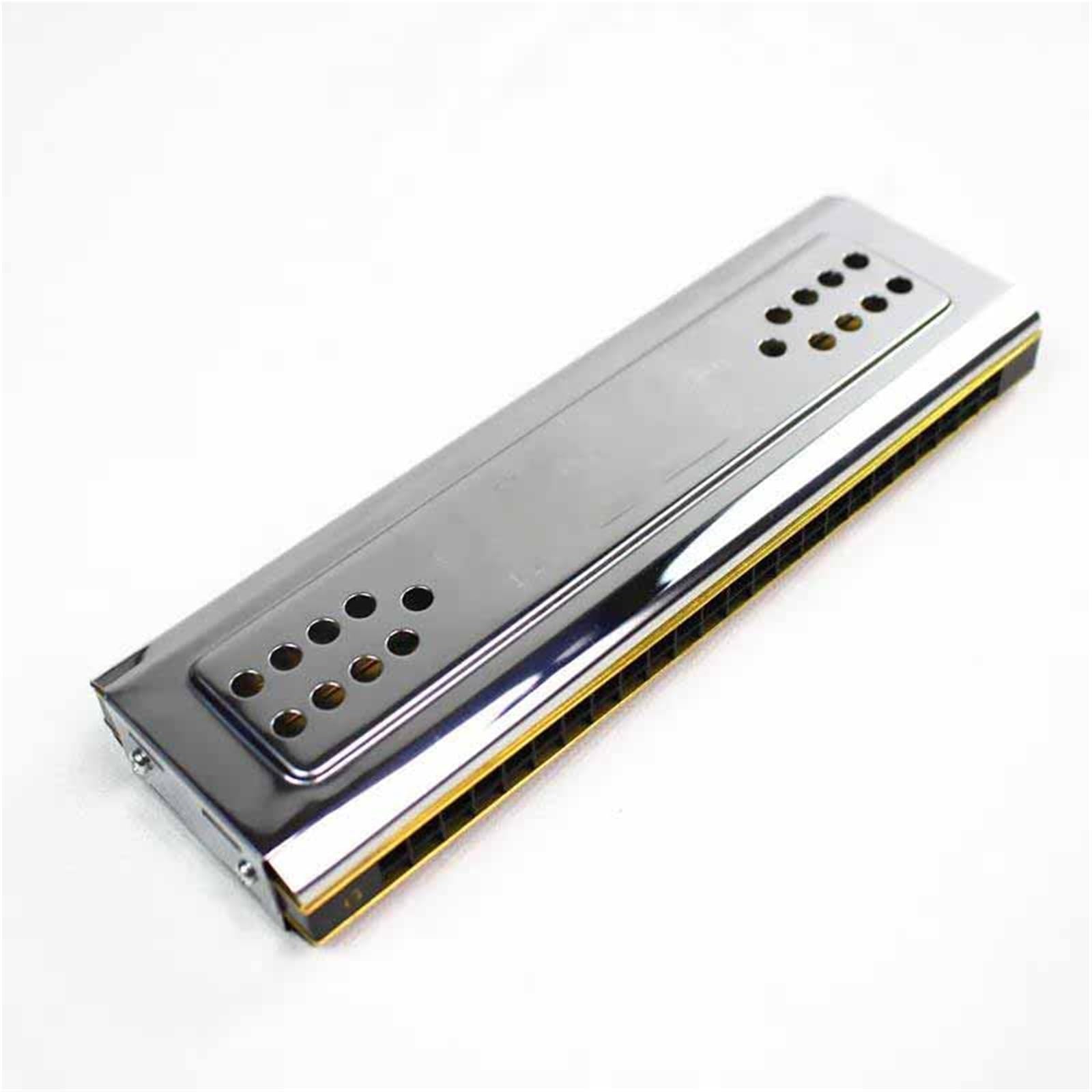 Principianti Armonica Armonica A Bocca A Doppia Faccia Tremolo CG 24 Fori Strumento A Fiato A Doppia Ancia