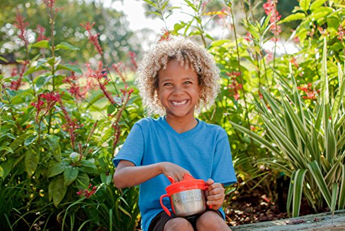 Ecovessel Gobble N Go Kid's Stainless Steel Snack Cup With Mess-Free Silicone Top - 16 Ounces - Pink Butterflies #TOP3